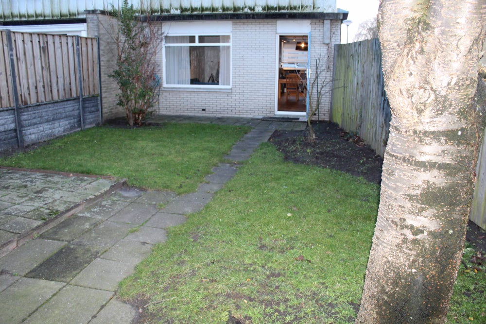 53021800.1642258906-363